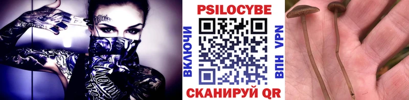 KRAKEN ссылка  Баксан  Галлюциногенные грибы мухоморы 