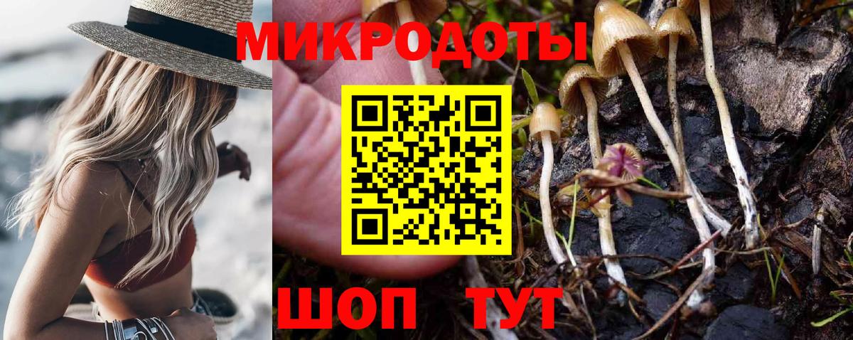 Галлюциногенные грибы прущие грибы  Псилоцибиновые грибы Psilocybe  Баксан  Вход с VPN 